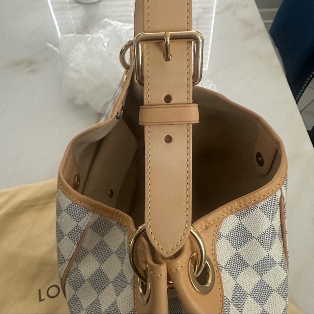 Louis Vuitton Galliera PM - Picture 3 of 10